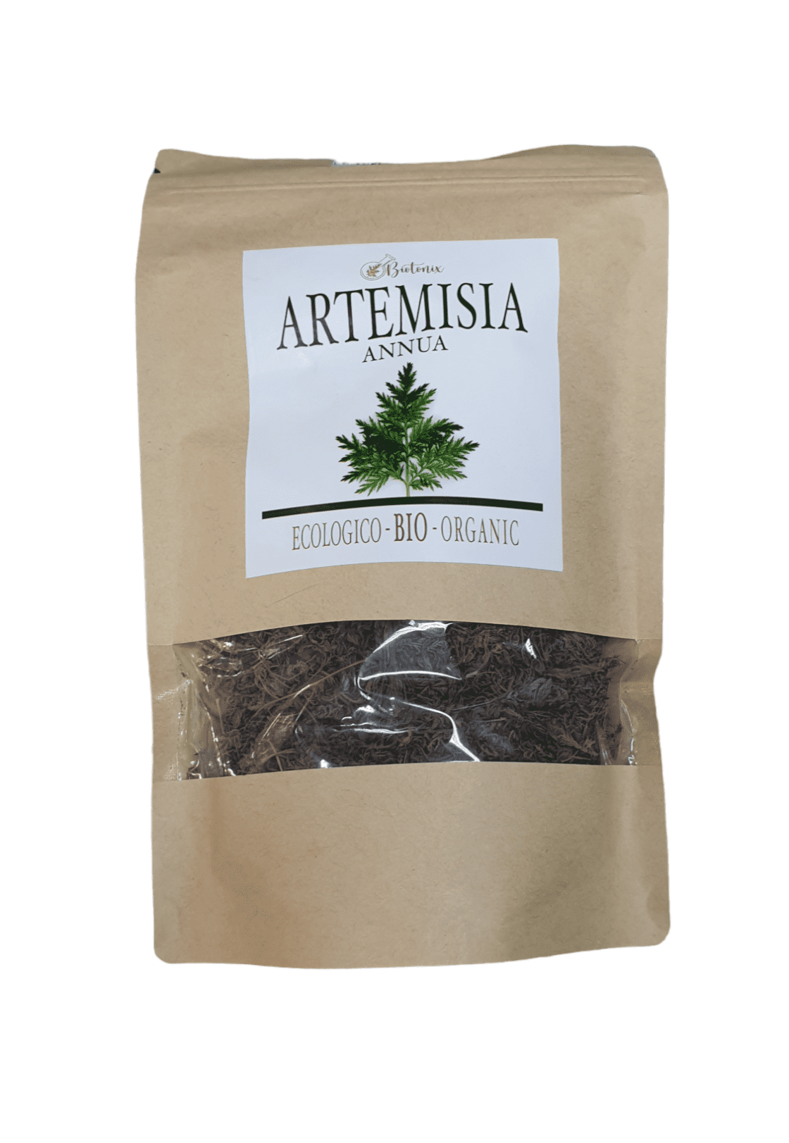 ARTEMISA ANNUA - 50GR aloe